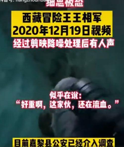 爆料诡异视频大全最新下载,最新诡异视频大全下载全解析