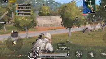 谷底大神最新爆料,最新爆料背后的惊人真相