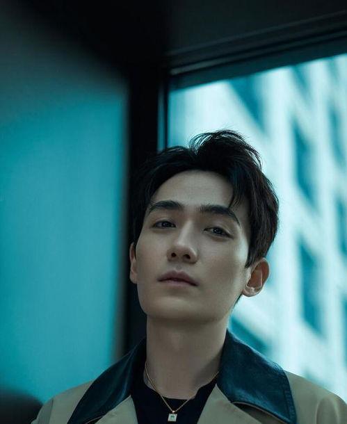 最新八卦爆料朱一龙视频,神秘幕后故事引网友热议